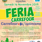 AFFICHE FERIACRF2019